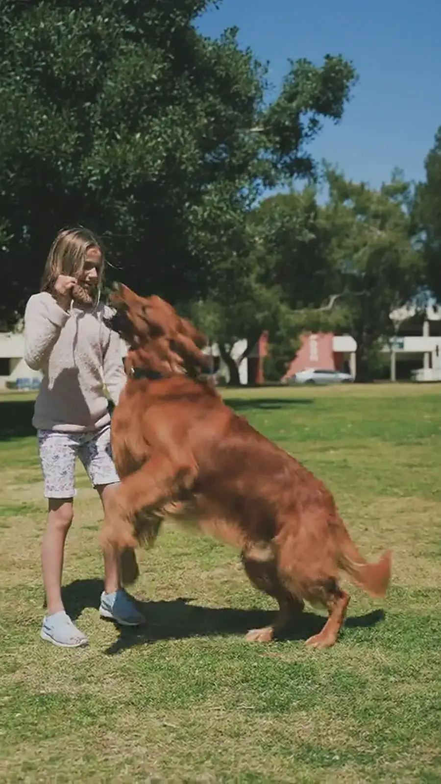 'Video thumbnail for beautifull pets'