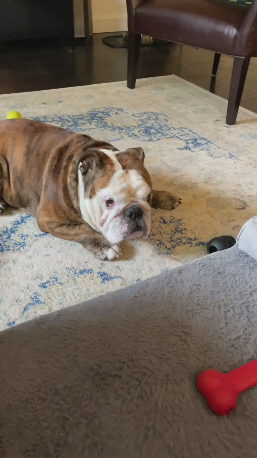 'Video thumbnail for Ollie Playing Around'