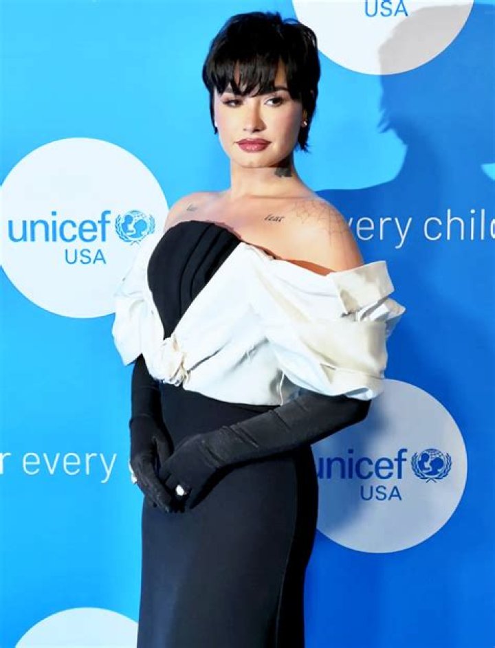 Demi Lovato Celebrates 31st Birthday With ‘Poot Lovato’ Cupcakes – Hollywood Life