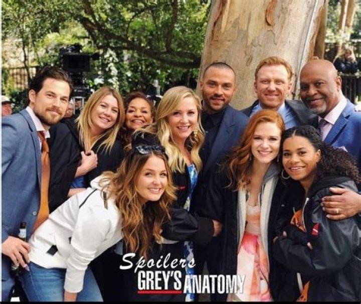 Why ‘Grey’s Anatomy’ Fans Love It – Hollywood Life