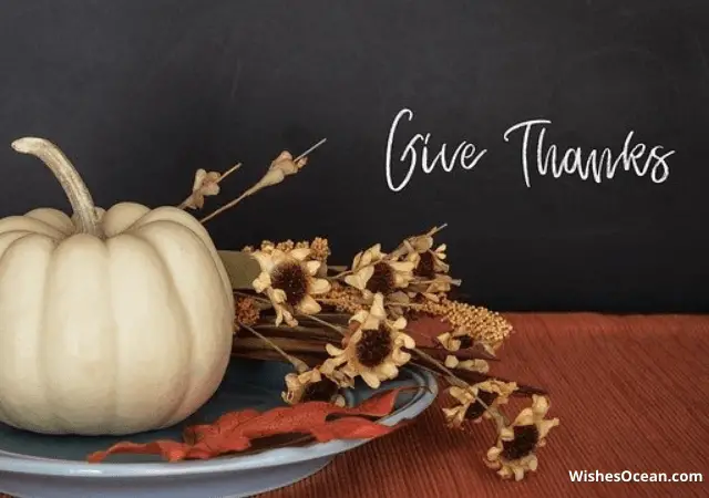 Happy Thanksgiving Messages for Teachers