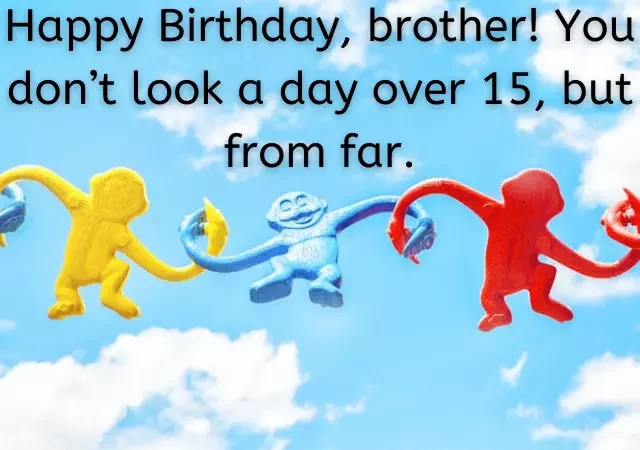 funny happy birthday wishes for elder brother