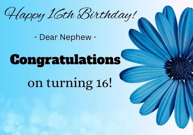 16th birthday wishes for nephew