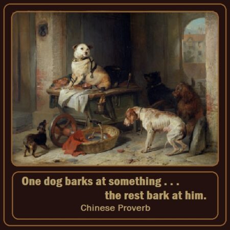 Dog Proverbs
