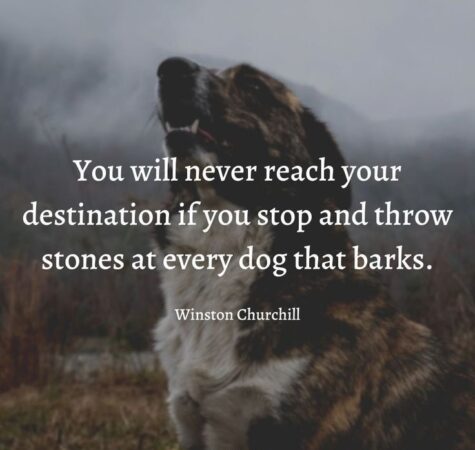 dog-proverbs